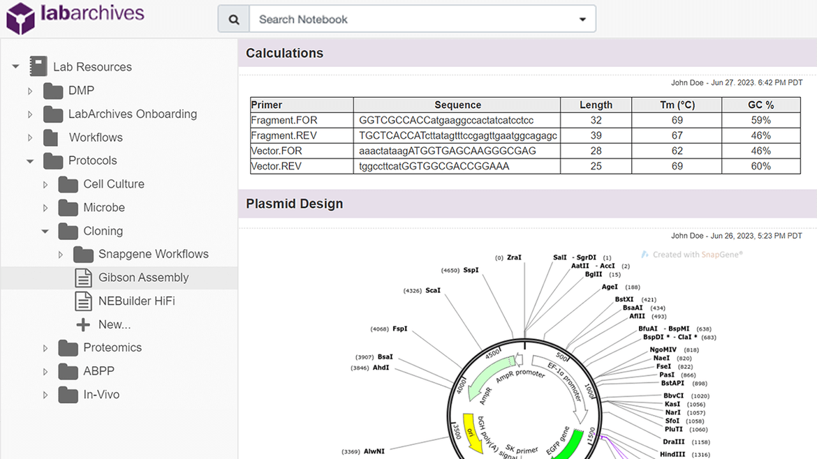 LabArchives notebook displaying primer calculations and a circular plasmid map from SnapGene